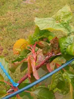 IMG_20140517_121150.webp
