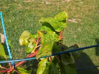 IMG_20140525_100639.webp