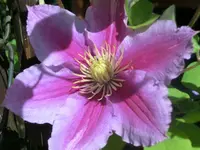 CIMG7812.webp