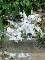 CIMG7806.webp
