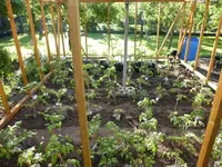 Unterstand-25_05-14-A.webp
