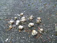 BILD2832.webp