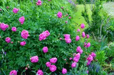 DSC_0024.webp