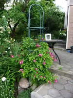 DSCF0102_1_1.webp
