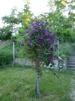 P1090441.webp