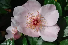 CIMG4674.webp