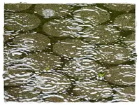 Regen.webp