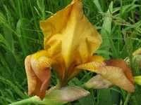 003_1024x768.webp