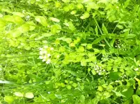 image(5).webp