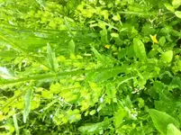 image(6).webp