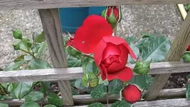 022.webp