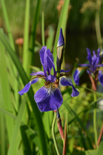 DSC_1705.webp