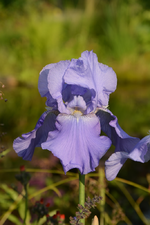 DSC_1719.webp