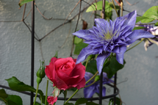 UetersenmitMultiBlue.webp