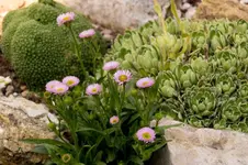 Stg 14-05-26-2392.webp