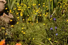 Stg 14-05-26-2393.webp