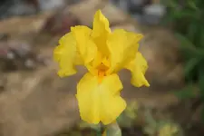 DSC08581.webp