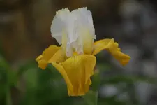 DSC08584.webp