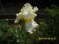 der Garten 301.webp
