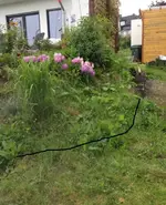 bild21.webp