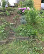 bild3.webp