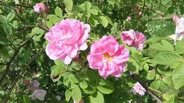 024.webp