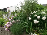 k-P1070910.webp