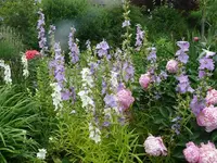 k-P1070913.webp