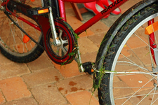 Radtour_600.webp
