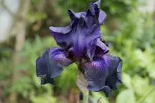 _DSC5861.webp