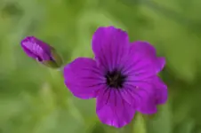 _DSC5859.webp