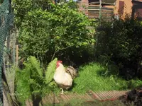 HPIM0581.webp