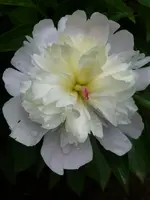 P1010670.webp