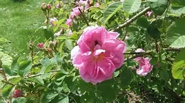 022.webp