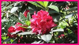 049.webp