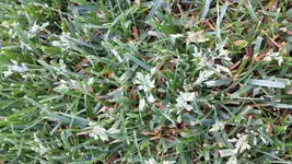 2014-05-27 06.37.54.webp