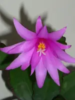 DSCI2558.webp
