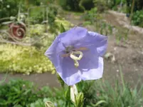IMG_4844.webp