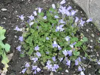 IMG_4875.webp