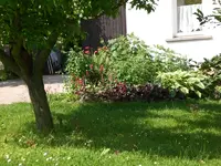 Garten Juni1 004.webp