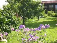 Garten Juni1 005.webp