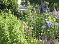 Garten Juni1 006.webp