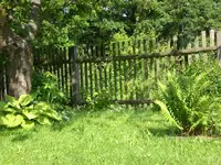 Garten Juni1 008.webp