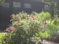 Garten Juni1 010.webp