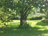 Garten Juni1 011.webp