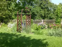 Garten Juni1 015.webp