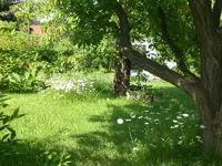 Garten Juni1 016.webp