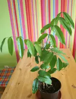 IMG_6635klein.webp