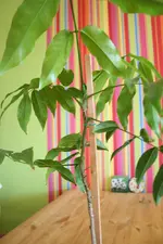 IMG_6638klein.webp