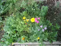 20081117_7031.webp